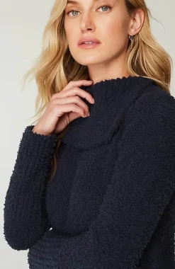 J.Jill Pure Jill Soft U0026 Cozy High-Neck Sweater | Jjill-Women Sweaters